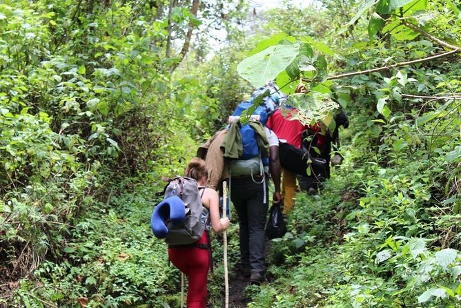 2 Days Nyiragongo Hike Adventure - Tour Inclusions and Exclusions