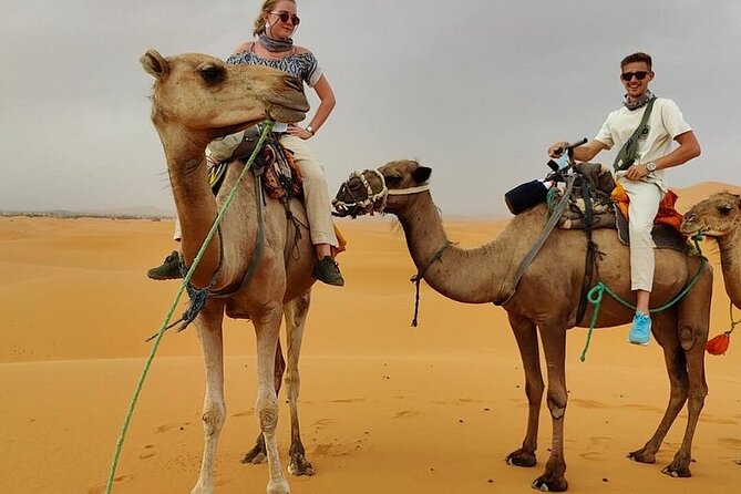 2 Days Private Desert Camp From Errachidia With Camel Trekking - Pickup Information