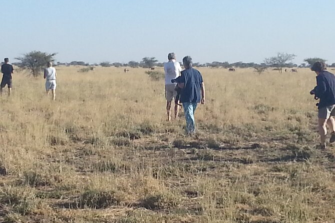 2 Days Private Tour: Discover Awash National Park