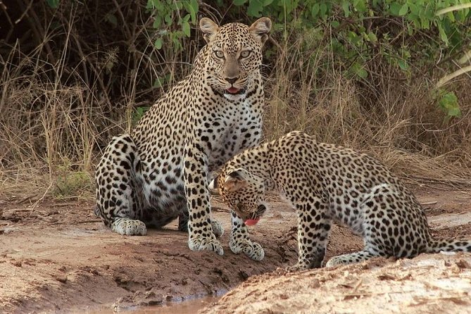 2 Days Safari To Queen Elizabeth National Park Uganda - Meeting and Pickup Details
