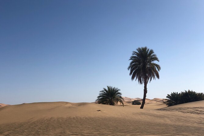 2 Days to Zagora Desert From Marrakech - Tour Details