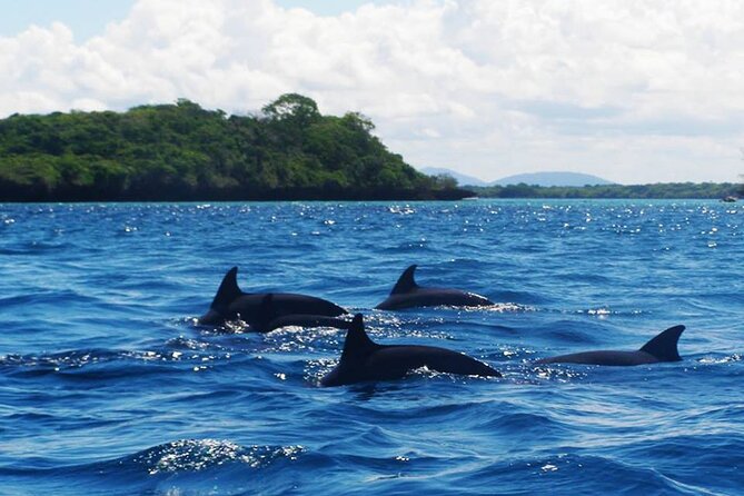 2 Days Tour From Jozani Forest to Stone Town Zanzibar - Inclusions and Exclusions