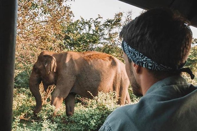 2 Days Tour to Udawalawe & Yala National Park From Colombo