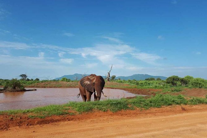 2 DAYS TSAVO EAST SAFARI OFFER (Minimum 2 Pax) - Whats Included
