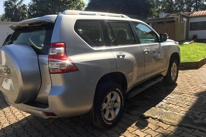 2 Days Uganda Gorilla Transfer From Kigali