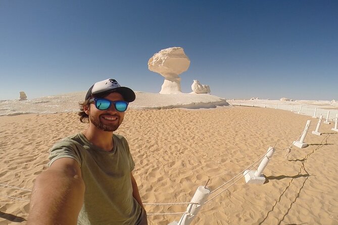 2 Days White Desert and Bahariya Oasis Private Tour - Tour Highlights