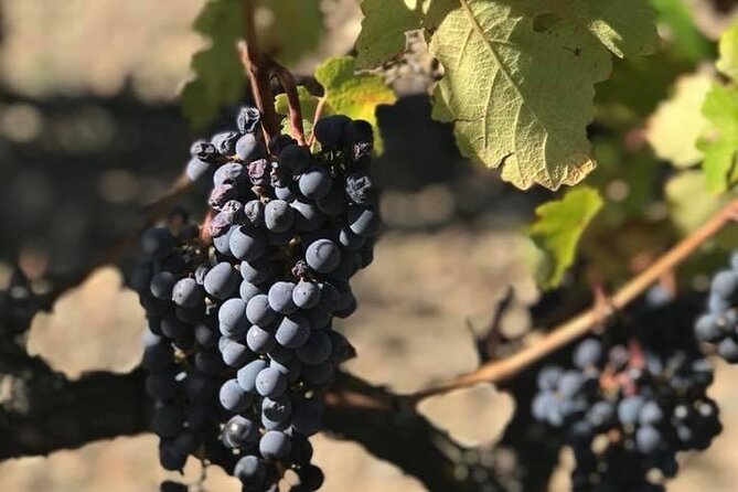 2 Days Wine Tasting Private Tour - Tour Details