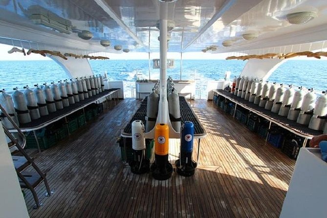 2 Dives From a Comfy Boat for Certified Divers