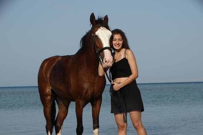 2 Hour Horse Riding Experience in Hurghada - Experience Highlights