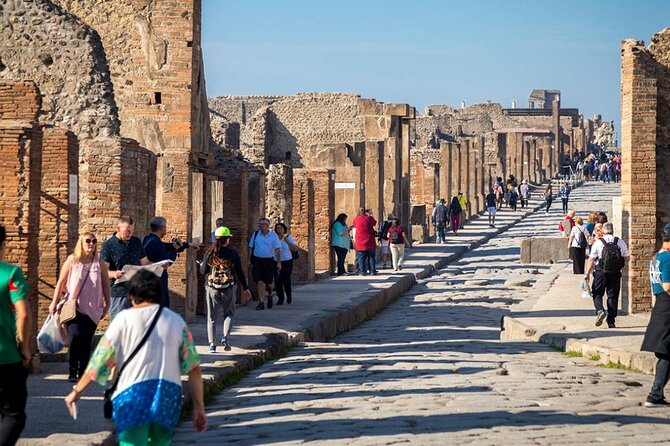 2 Hour Private Walking Tour With Certified Guide in Pompeii - End Point
