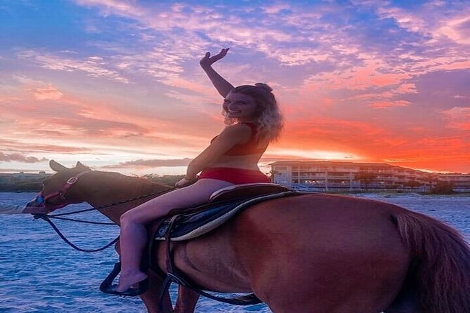 2 Hours : Horse Riding Along Hurghadas Beach and Desert.
