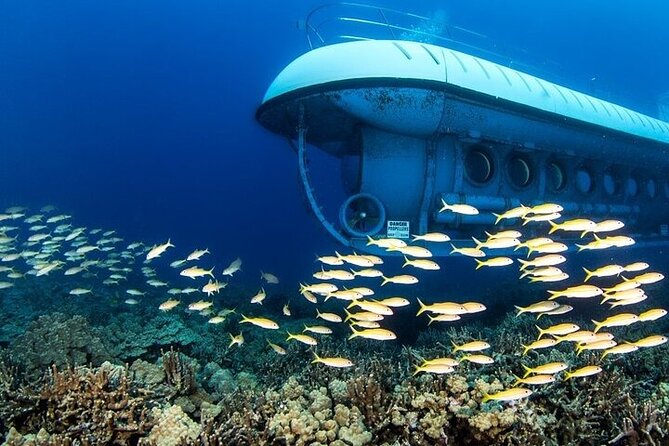 2 Hours of Hurghada Submarine Adventure - Important Details