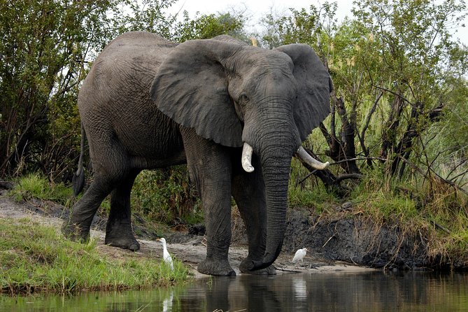 2 Hours Sunset Cruise Along the Zambezi River - Inclusions and Logistics Details