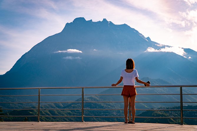 2d1n Kinabalu Park & Poring Canopy Walk & Desa Cow Farm Tour - Inclusions