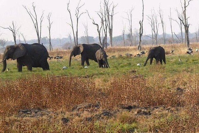 2DAYS 2 Nights Camping Safari in Chobe National Park,Botswana
