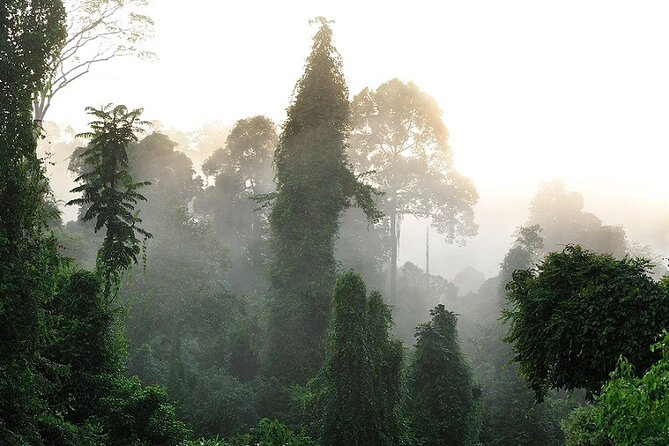 3-Day Adventure in Tabin Wildlife Reserve - Location and Accommodation Details