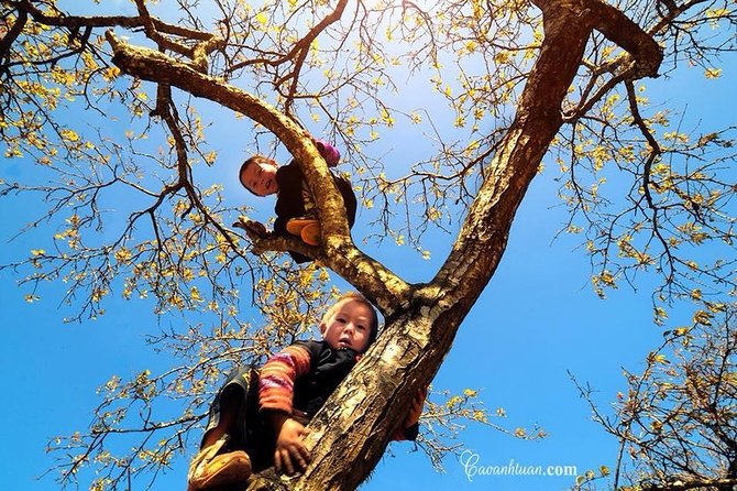 3-Day Amazing Ha Giang With Motorbike Tour - Small Deluxe Group Tour - Itinerary Highlights