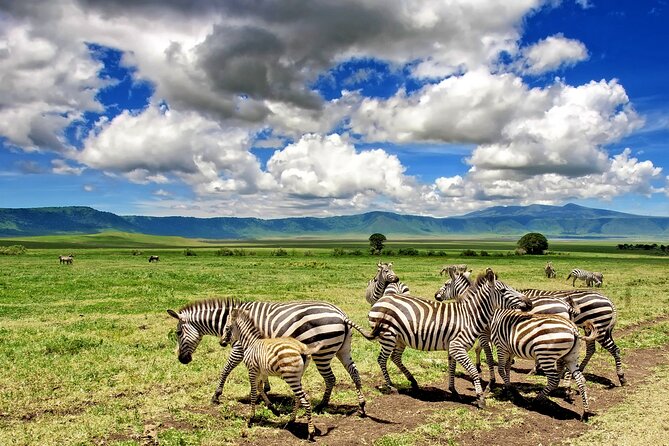 3 Day Budget Tour Ngorongoro Crater-Mount Kilimanjaro From Arusha