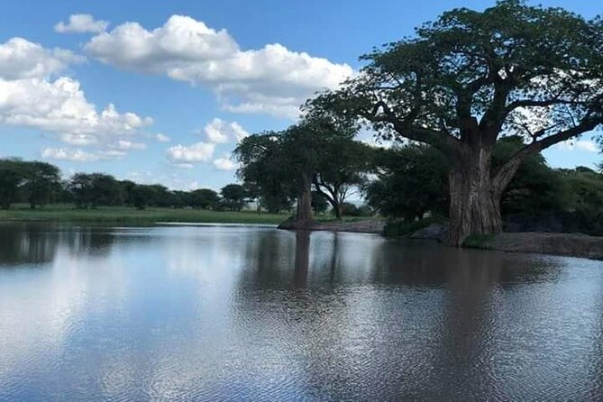 3-Day Camping Tour for Tarangire, Manyara & Ngorongoro From Arusha - Inclusions and Exclusions