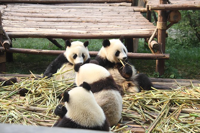 3-Day Classic Chengdu to Jiuzhaigou and Huanglong Flight Tour
