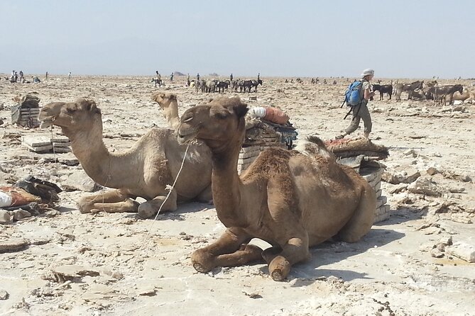 3-Day Danakil Depression Expedition