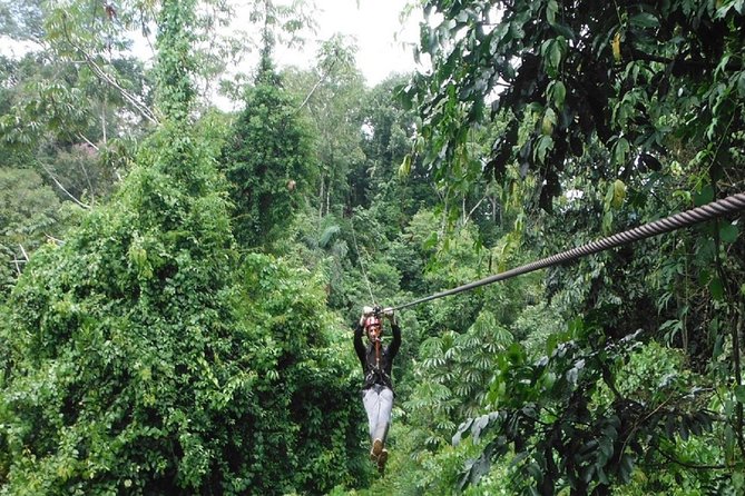 3-Day Lodge in the Jungle of Manu - Overview of Manu Jungle Lodge