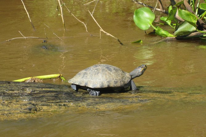 3 Day – Manu Cloud Forest – Group Service