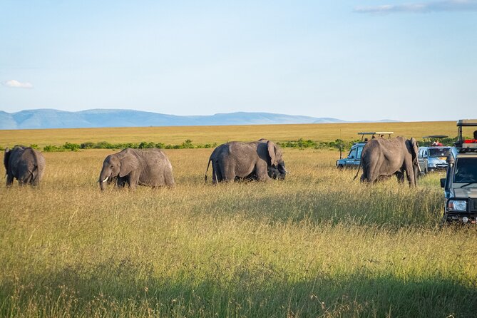3-Day Masai Mara Migration Small Group Guided Safari From Nairobi