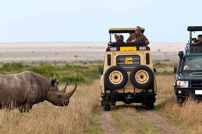 3-Day Masai Mara Private Flying Safari With 4x4 Game Drives - Safari Highlights