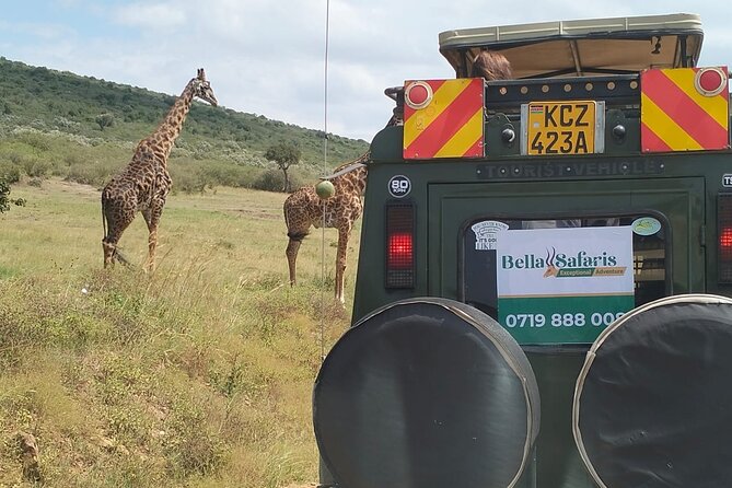 3-Day Masai Mara Wildlife Migration Experience.