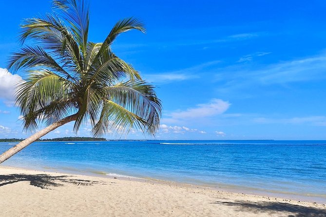 3 Day Pasikudha Tour From Colombo - Tour Itinerary