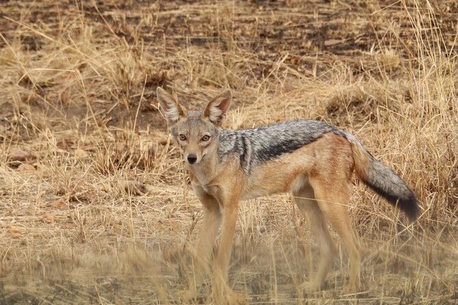 3-Day Safari to Serengeti National Park - Inclusions and Exclusions