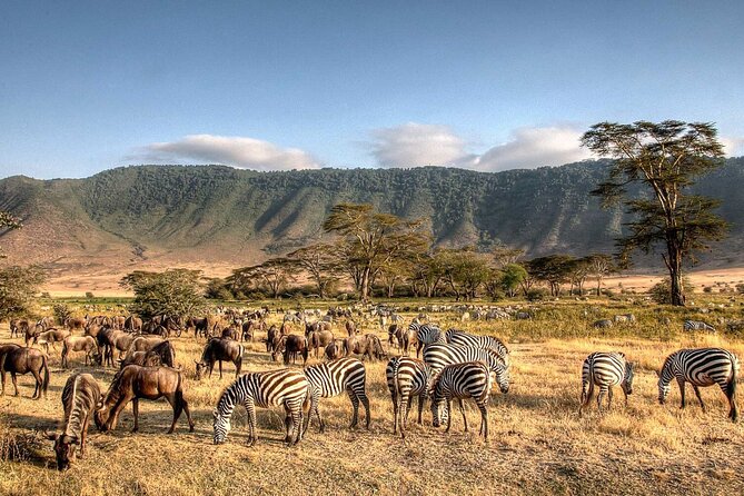 3-Day Safari to Serengeti, Ngorongoro and 1-Day Kilimanjaro Hike