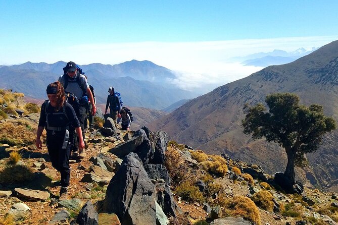 3-Day Trek in the High Atlas Massif From Marrakech - High Atlas Massif Highlights