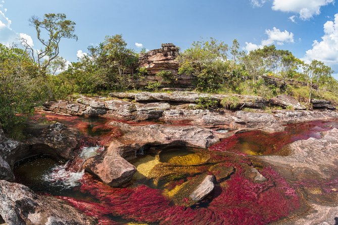 3-Day Trip to Caño Cristales (the River of Many Colors)