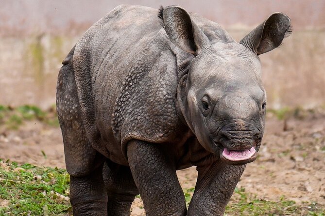 3 Days 2 Night Safari to Ol Pejeta Conservancy - Inclusions and Operator Information