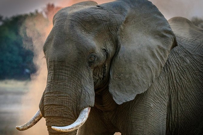 3 Days 2 Nights Amboseli Daily Departures - Daily Activities