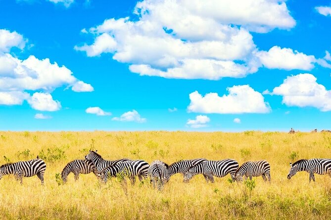 3 Days 2 Nights in Maasai Mara Safari Tour - Meal Inclusions