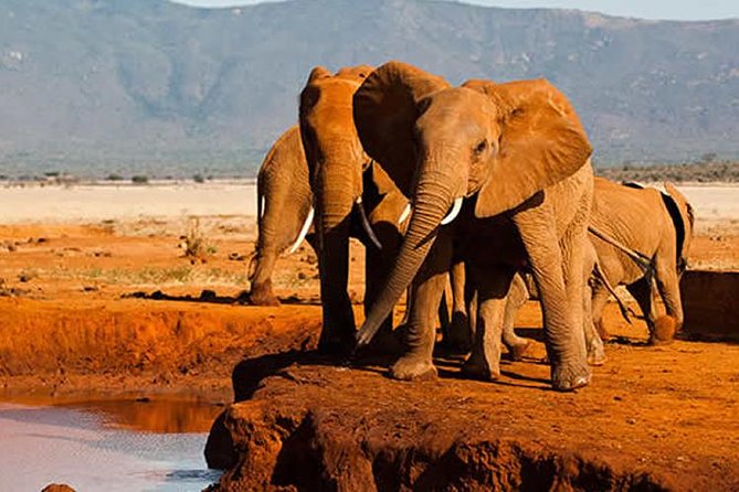 3 Days 2 Nights Tsavo East , Saltlick Sgr Safari Package (MINIMUM 2 PAX) - Itinerary Details