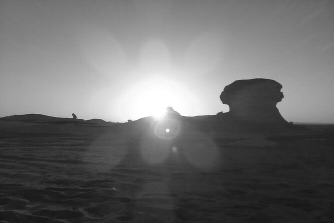 3 Days 2 Nights Visit White Desert & Bahariya From Cairo - Tour Inclusions