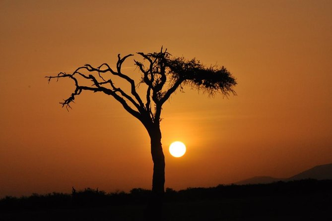 4 Best 3 Day Tours In Maasai Mara National Reserve