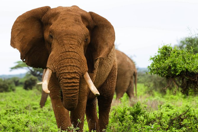 3 Days Best Of Kenya - Overview of the Tour