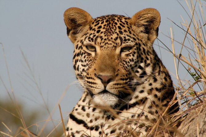 3 Days Camping Safari to Serengeti and Ngorongoro Crater - Group Joining - Accommodation Details