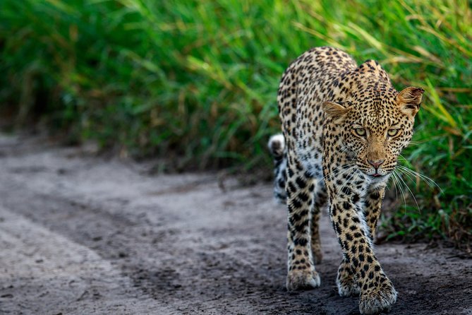 3-Days Central Kalahari Game Reserve - Transport Information