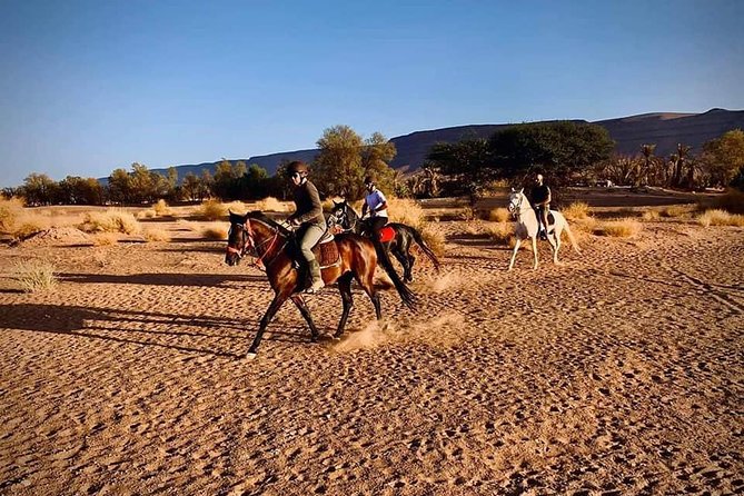 3 Days Desert Tour and Horseback Riding - Tour Highlights