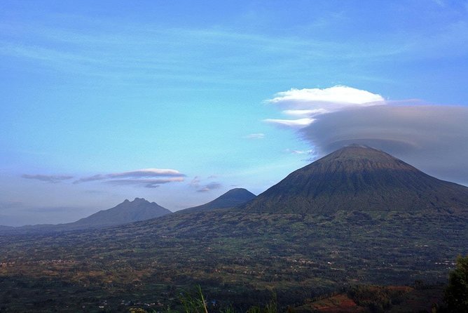 3 Days Gorilla and Golden Monkey Trek - Tour Overview