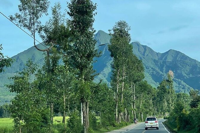 3 Days Gorilla & Golden Monkey Trekking Safaris - Itinerary Overview