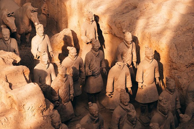 3 Days Highlight Chengdu & Xian Tour by Bullet Train