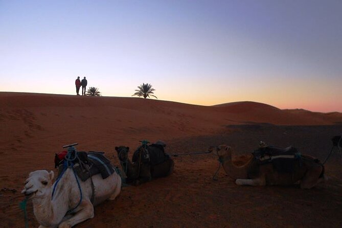 3 Days In Private To The Desert From Fes Finishing In Marrakech - Accommodation Details