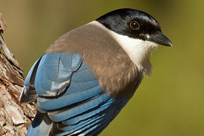 3-Days in Private Tour Knowing The Kingdom of the Vulture - Day 1 Itinerary